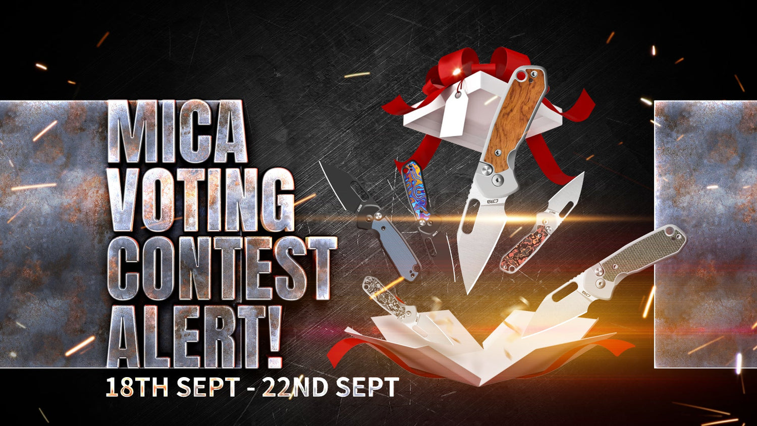 Mica Voting Contest Alert!