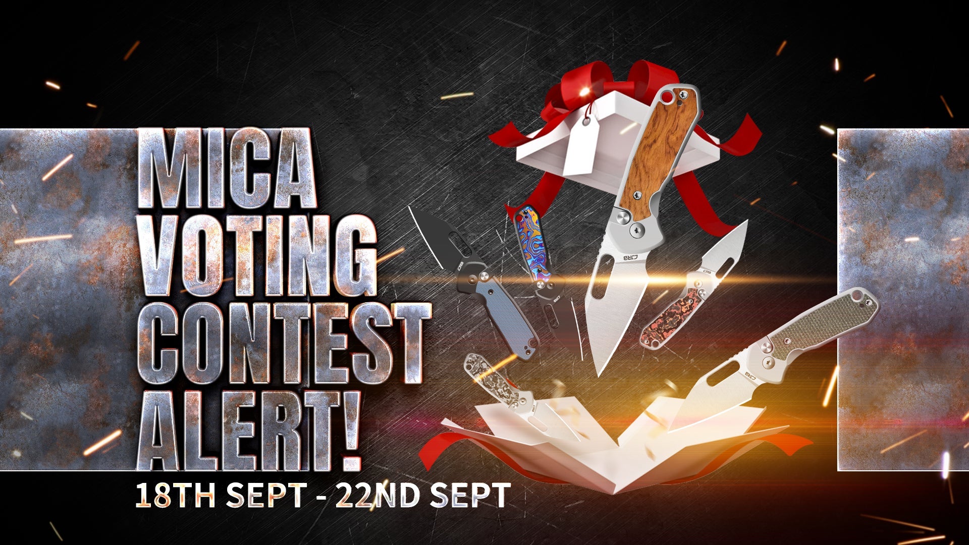 Mica Voting Contest Alert!
