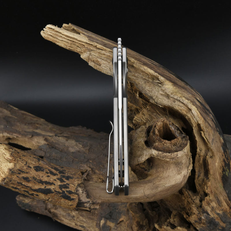 CJRB EKKO J1929BT Button Lock AR-RPM9 Steel Blade Titanium Handle Folding Knives