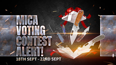 Mica Voting Contest Alert!