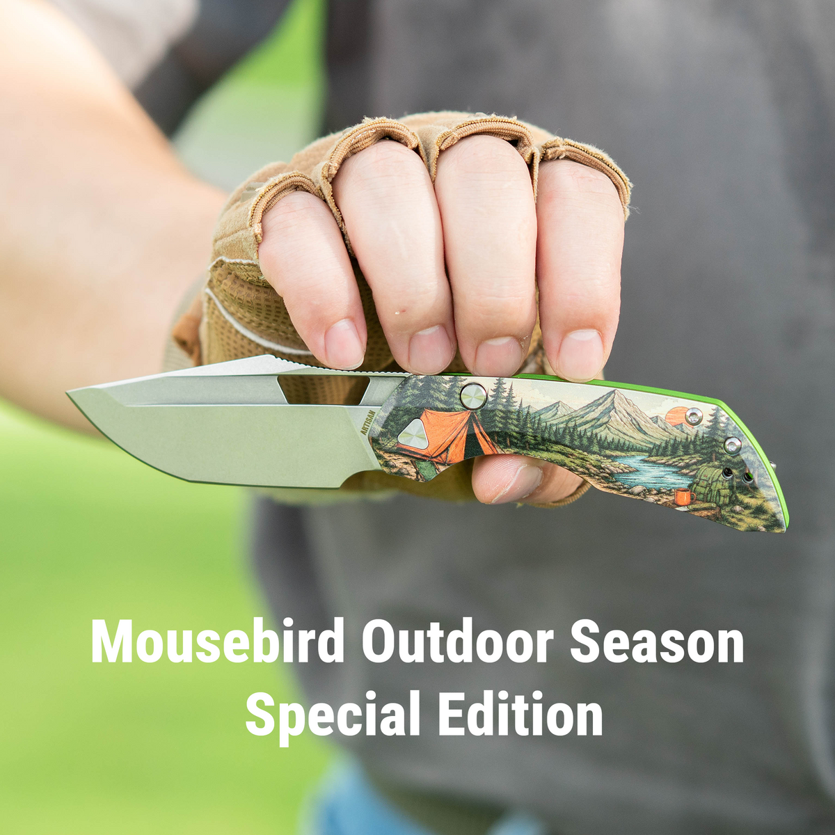 ArtisanCutlery Mousebird Thumb Hole Top Liner Lock EDC Knife 7075-T6 Aluminum Handle Titanium Clip(3'' N690 Stone Wash Blade ) 1889G-SAL