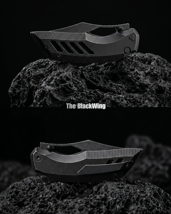 Building the Dark Wing | The BlackWing | Tactical Tumbled Black Titanium