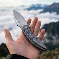 ArtisanCutlery Fragarach Frame Lock Thumb Hole Knife Titanium + Fat Carbon Handle (3.72'' Sand Polish S90V Blade) 1879G-DM