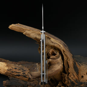 ARTISAN CUTLERY ANDROMEDA 1856G-FCG M390 BLADE TITANIUM AND FAT CARBON HANDLE FOLDING KNIFE(LIMITED EDITION)