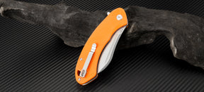 Artisan Cutlery Eterno ATZ-1818P D2 Blade G10(Flat) Handle Folding Knives
